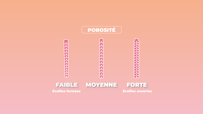 Qu'est-ce que la porosité d'un cheveu ?