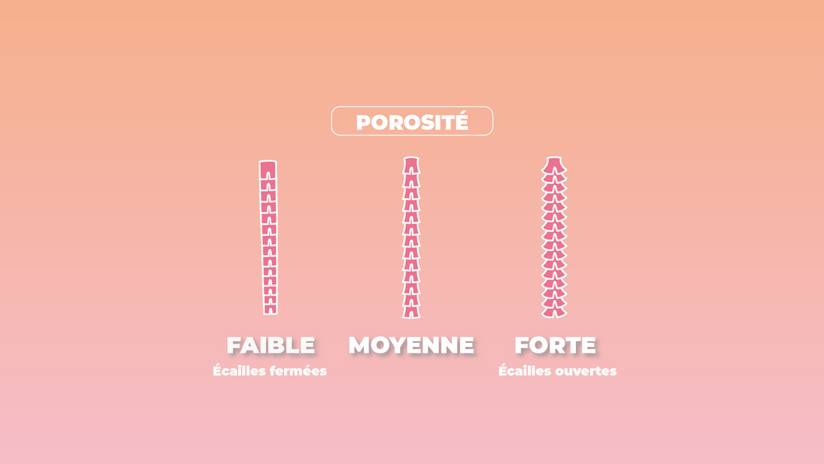 Qu'est-ce que la porosité d'un cheveu ?